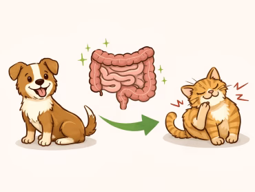Chronische jeuk bij hond of kat? De rol van darmen en voeding